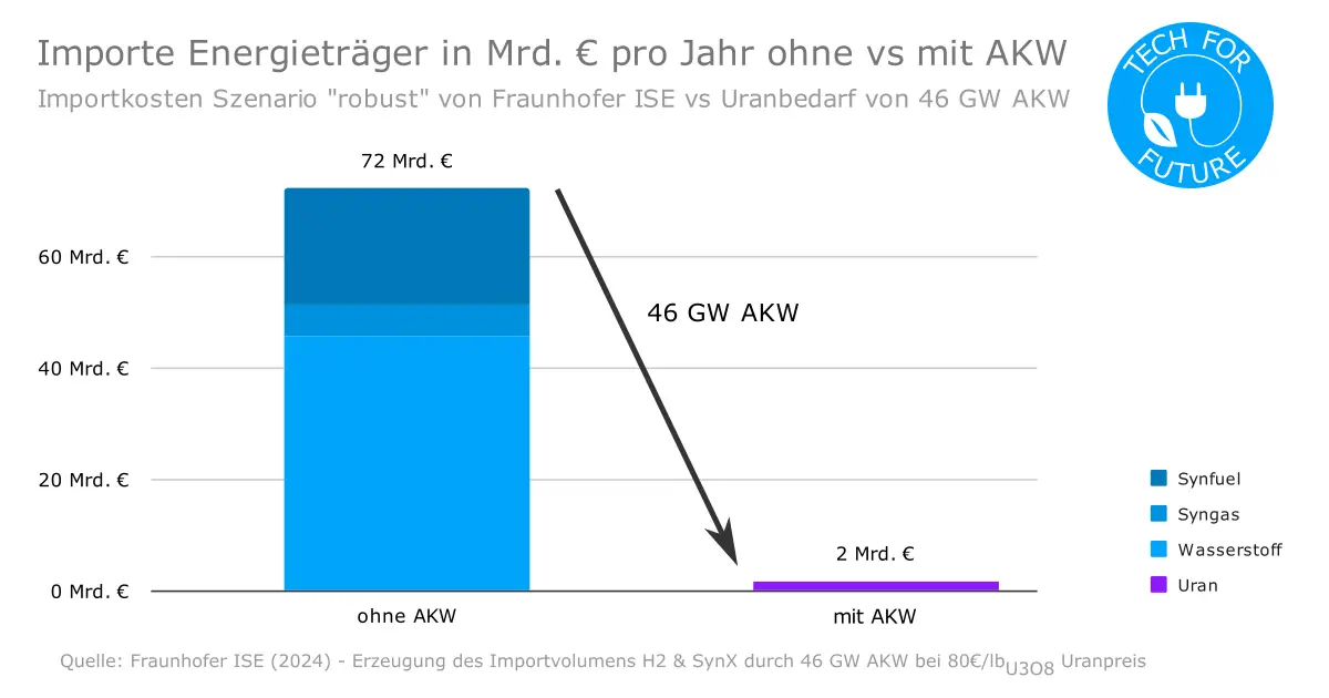 Weg mit den Importen! Kosten & Abhängigkeit vermeiden mit Kernenergie